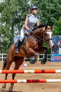 Фаворит подольск