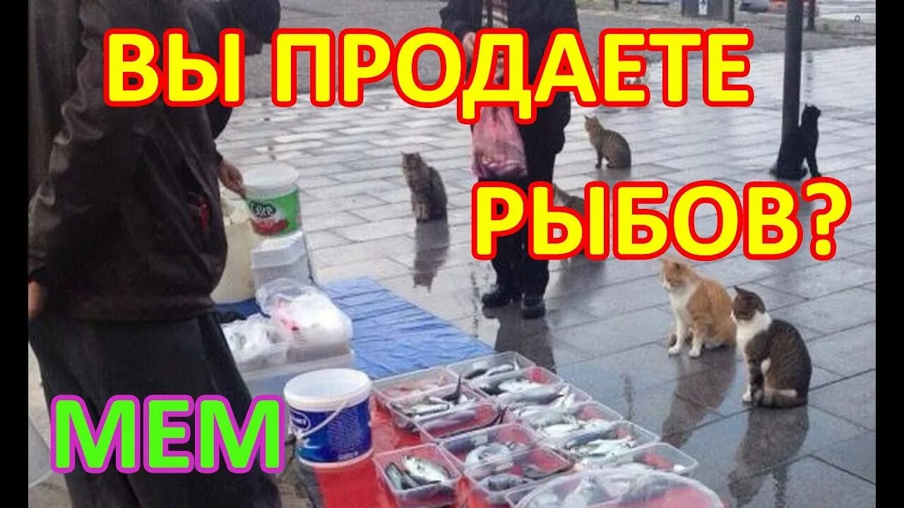 Продаете показываем красивое