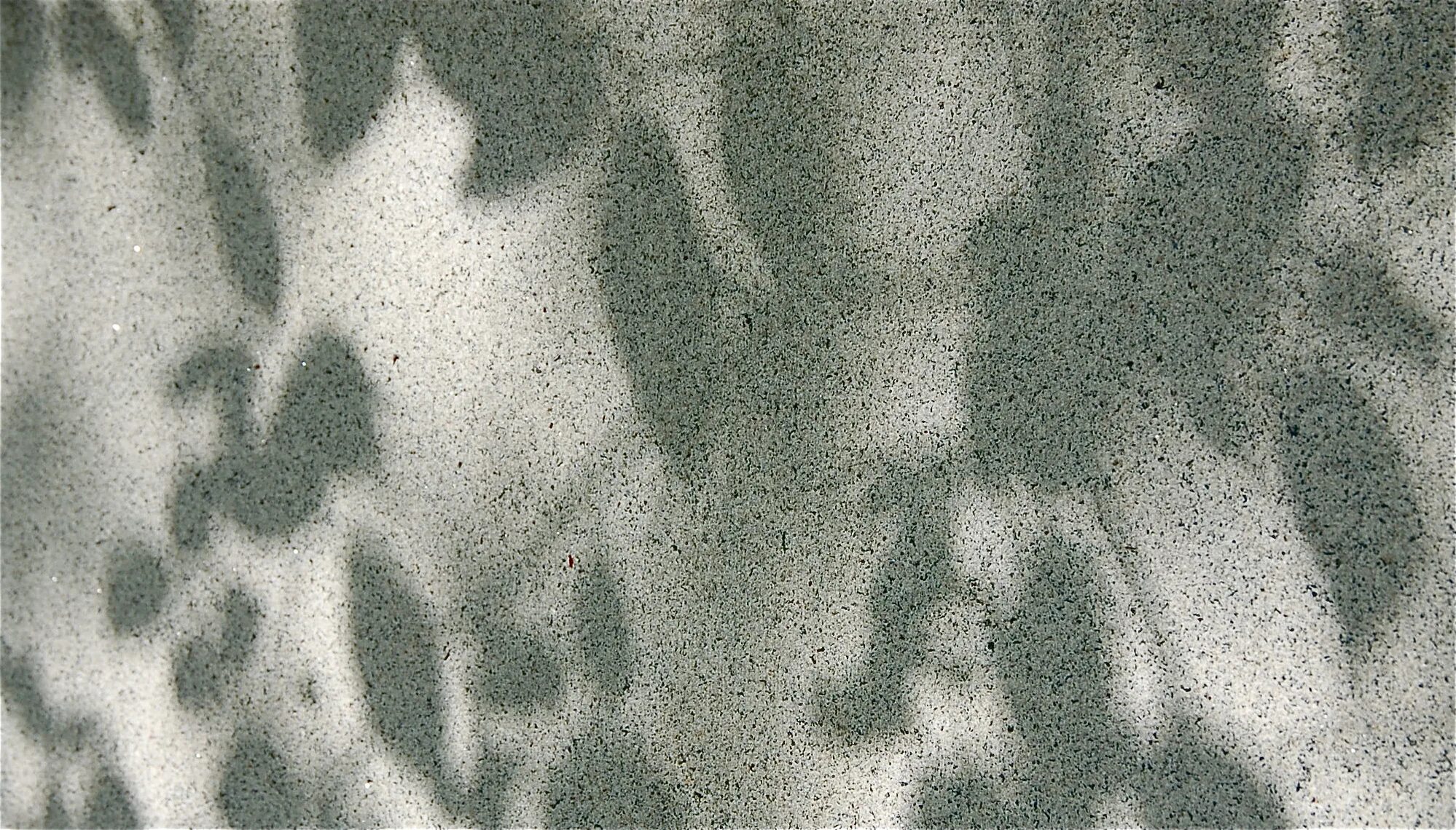 Texture shadows