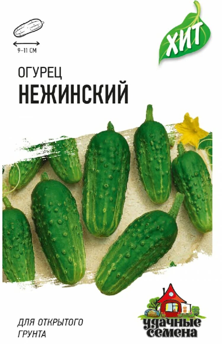 Огурцы семена отзывы. Огурец Нежинский. Огурец Нежинский отзывы.