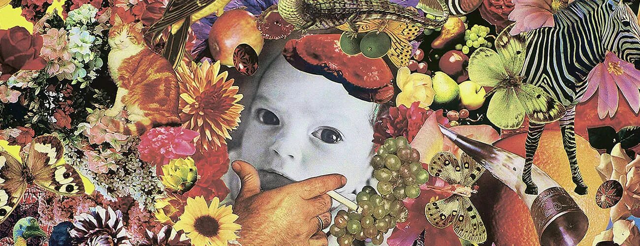 Егор летов коллажи. 100 лет одиночества егор летов. Егор летов коллажи егора летова. Егор летов 2022. Летов коллаж.