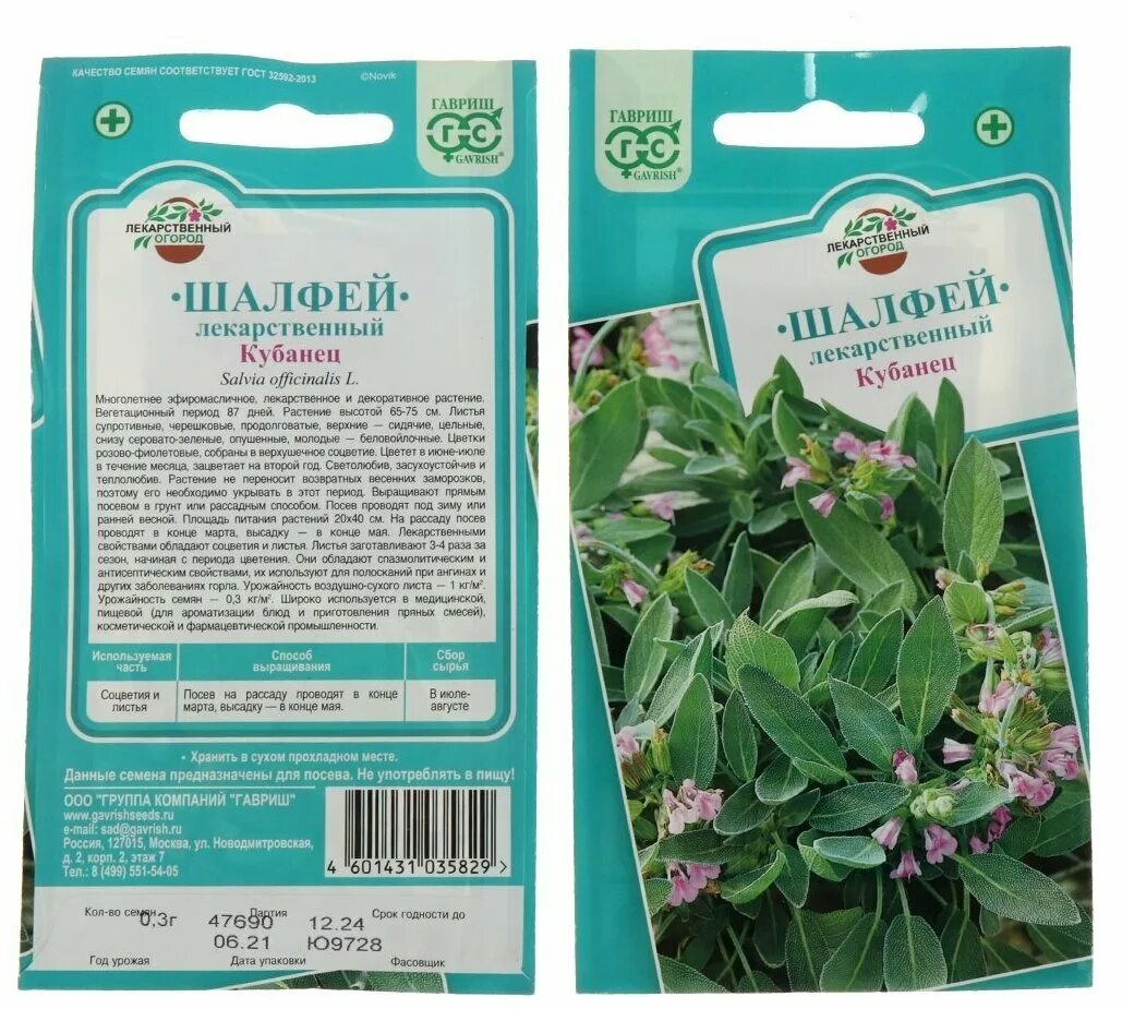 купить семена в интернет магазине шалфея. шалфей лекарственный кубанец. шалфей лекарственный семена. шалфей лекарственный семенами. аэлита шалфей целитель овощной.