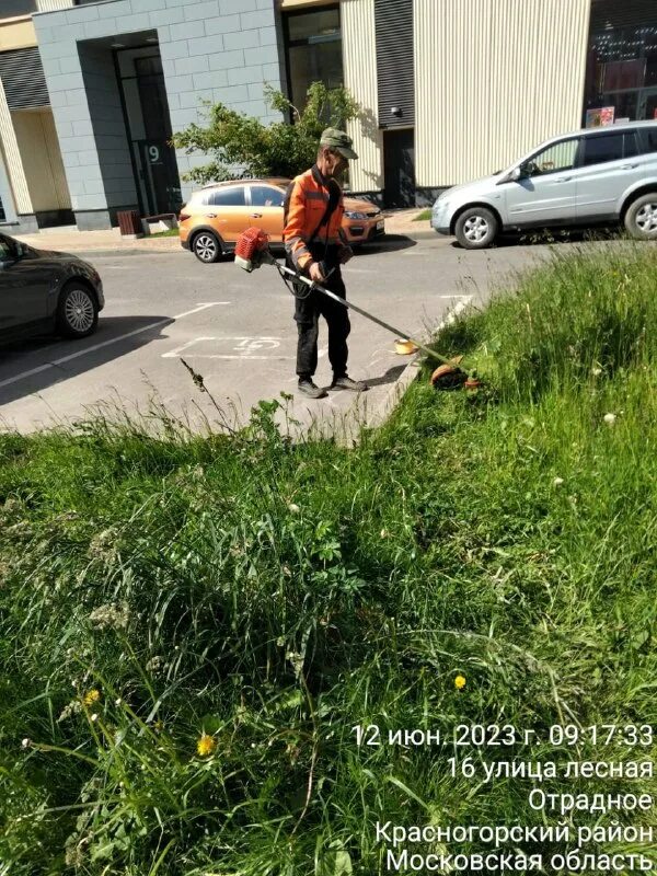 муниципальное бюджетное учреждение красногорская городская служба. красногорская городская служба управляющая. городское благоустройство мбу красногорская городская служба. красногорская городская служба управляющая. фмс красногорск ильинское шоссе.