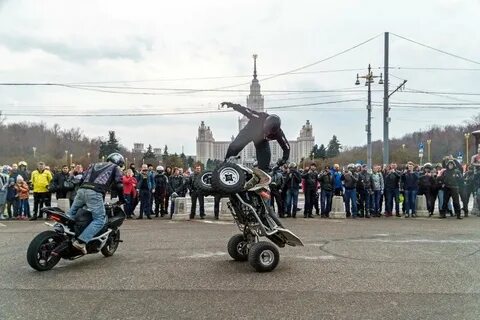 Ночные волки мневники