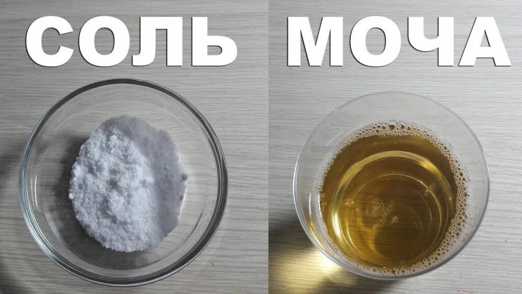 Как отличить мочу