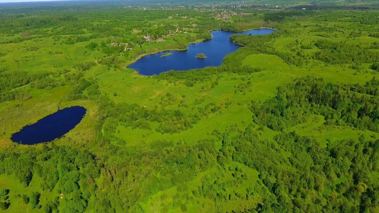 Озеро коробожа новгородская область. Клоновское озеро архангельская область. Мошенское озеро. Мошенское озеро. Озеро мыслово новгородская область.
