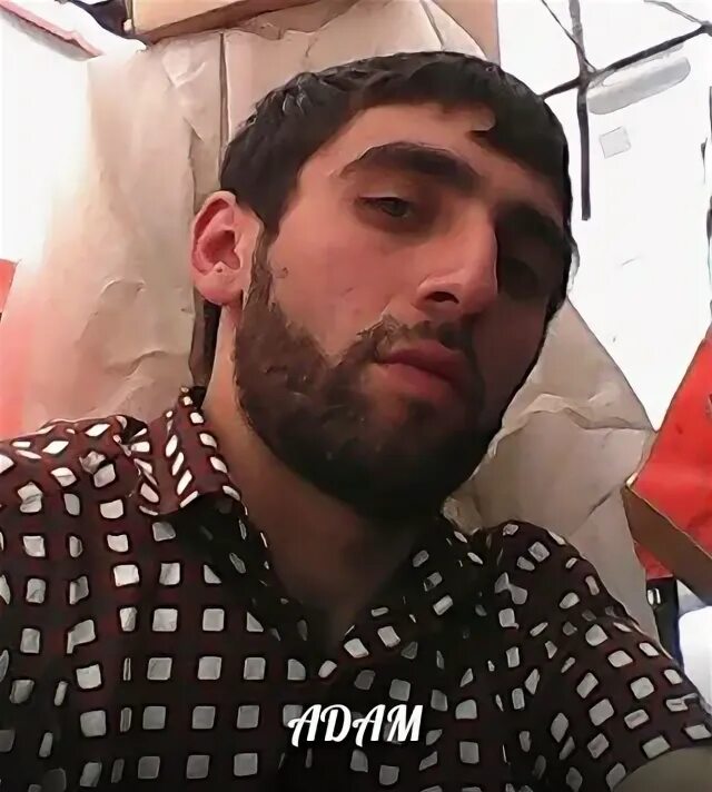 Адамов ахмед. Адамов ахмед