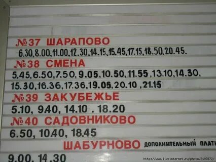 Автобус 6 от кутузовской