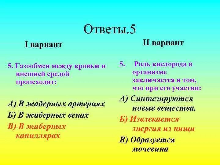 Газообмен между кровью и внешней средой происходит