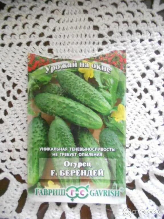 Семена. Гавриш огурец берендей f1. Огурец "берендей f1". Огурец берендей f1. Огурец "берендей f1".