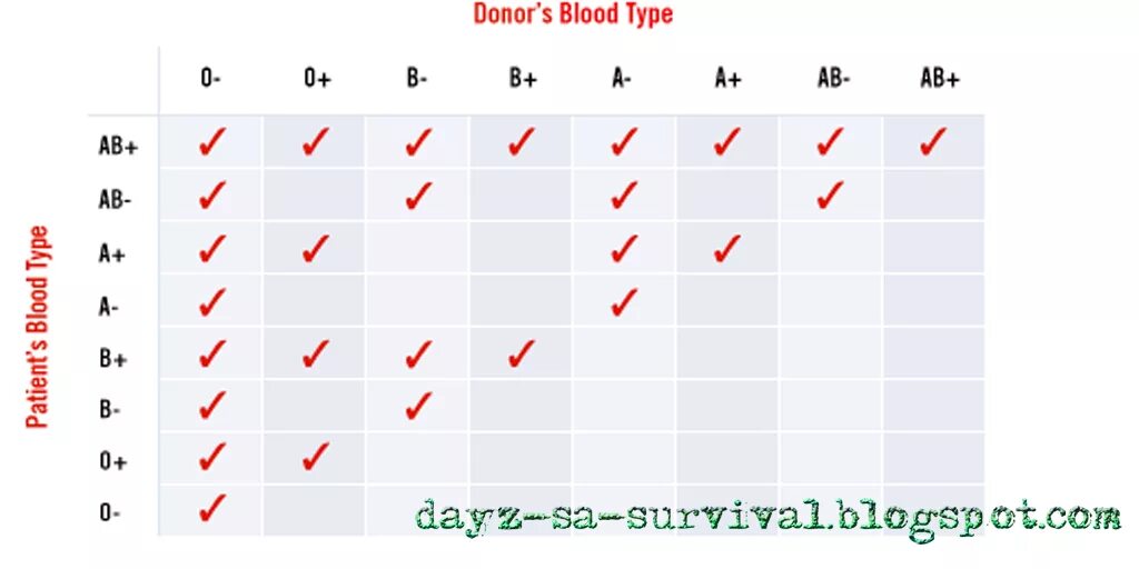 Таблица совместимости крови дейз. Таблица совместимости групп крови DAYZ. DAYZ совместимость групп крови. Таблица группы крови DAYZ.
