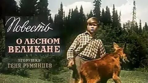 Повести видео