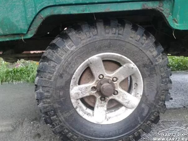 фамилия сафари 500