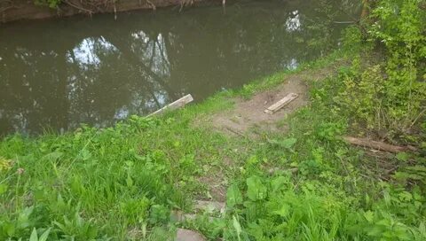 Утонула в москве реке