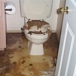 Какает на пол