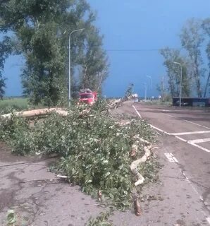 Погода амурская область село орловка