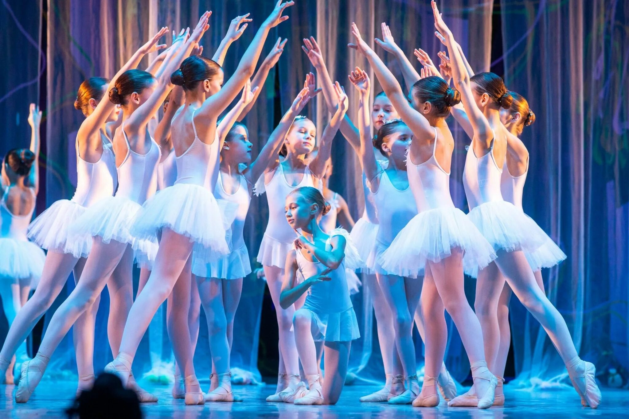 Синяя птица балет. Опера синяя птица. Синяя птица красноярский театр оперы и балета. Балетная студия цдтт синяя птица. Мариинка балет спящая красавица.