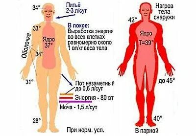 С низким давлением можно в баню