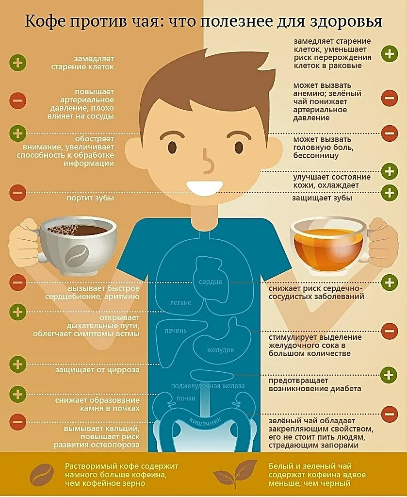 Инфографика кофе. Кофе полезно для организма. Кофе полезно для человека. Полезная инфографика. Почему чай плохой