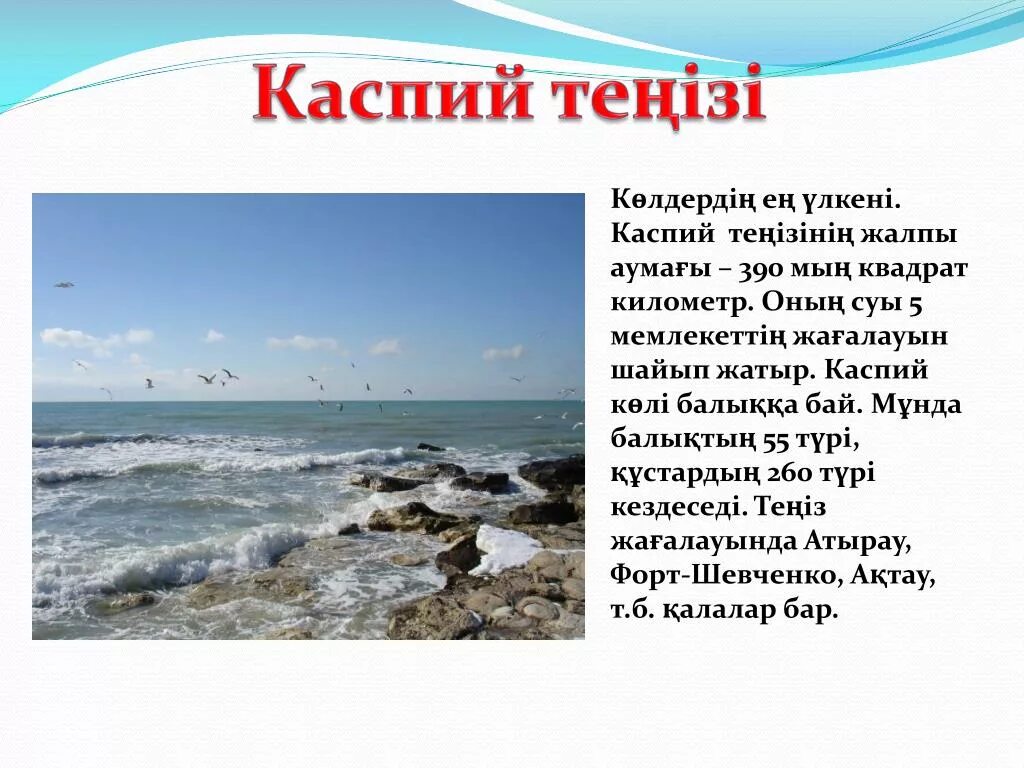 Каспий теңізі. Каспий теңізінің экологиясы презентация. Каспий изменения. Береговые ландшафты Каспия. Каспий сайт казахстан