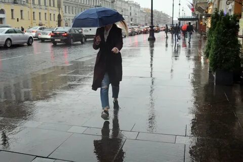 В течение 30 ожидается дождь