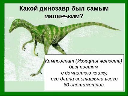 Какие есть маленькие динозавры