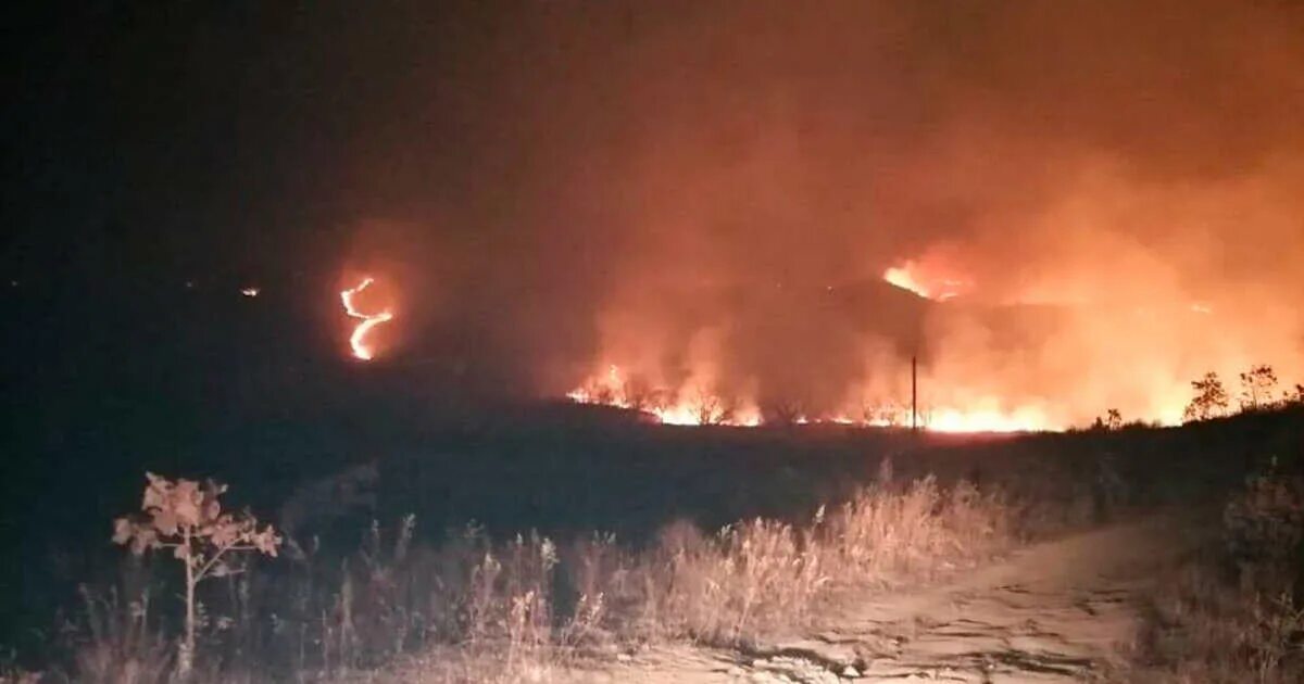 Пожар в хасанском районе. Приморье пожар. пожары в приморском крае сейчас. крупные приморские пожары. пожар в туношне.