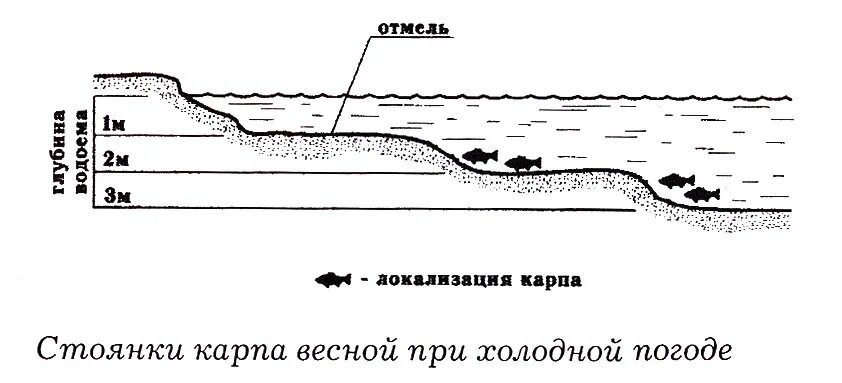 Давление для карпа. Давление для рыбалки весной на карпа. Глубина пруда для зимовки карпа. Глубина пруда для зимовки рыбы. Схема клева