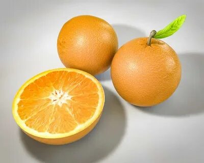 Fruits 24