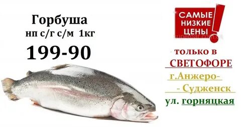 Горбуша свежемороженая светофор