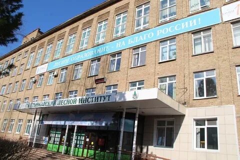 Сли тг