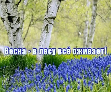 Добрые весенние песни