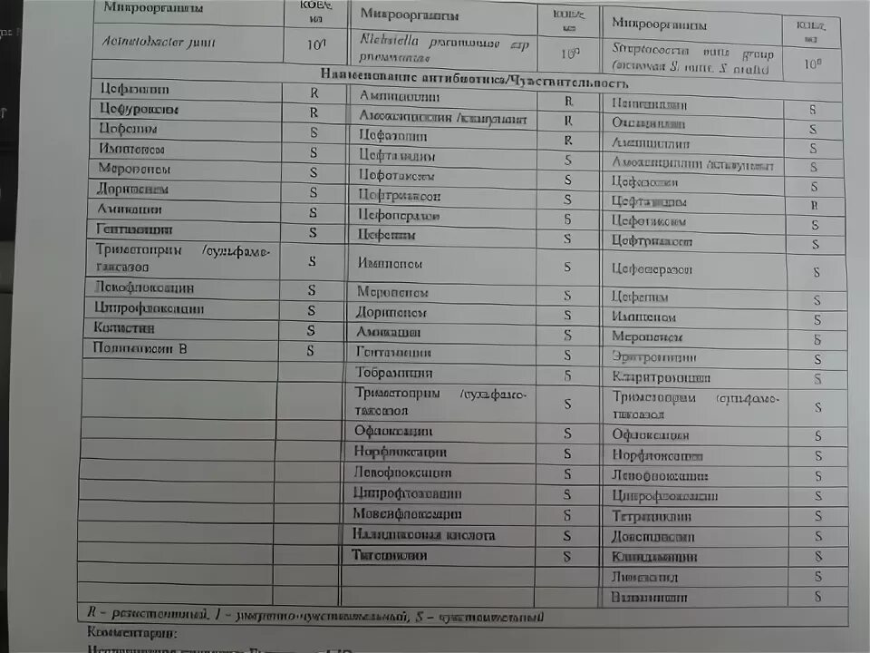 Норма стрептококков в мазке из зева. Норма стрептококка в мазке из зева у женщин. стрептококк норма в мазке. стрептококк в мазке из горла показатели нормы. норма стрептококка в мазке из зева.