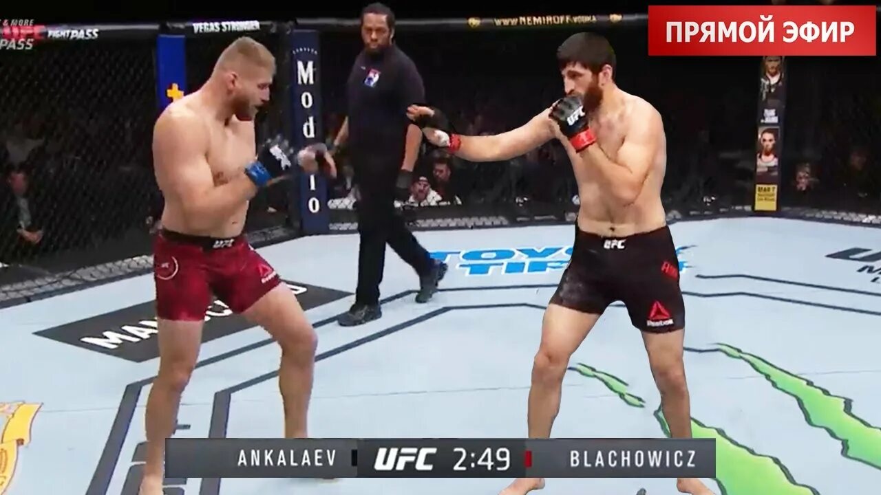 Прямой эфир ufc 24