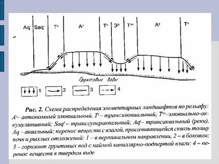 Элементарный ландшафт