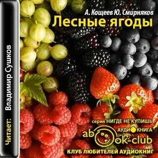 Книги владимира кощеева