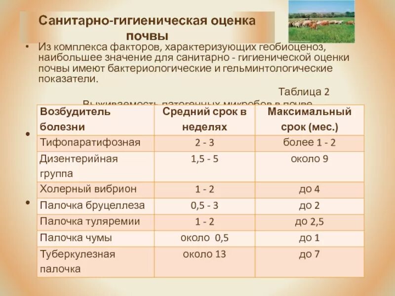 Гигиеническая карта. Санитарно-гигиенические показатели почвы. Показатели почвы. Показатели состояния почвы. Санитарные показатели почвы.