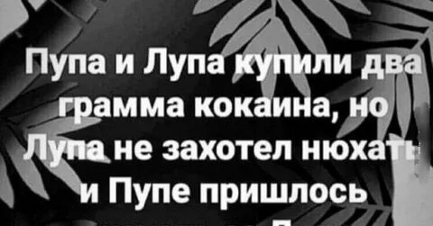 Лупа и пупа спбгу