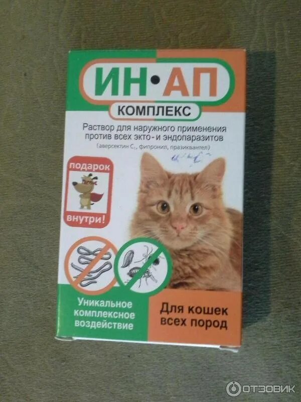 Что можно кошке от аллергии. Капли против глистов для кошек. препараты от аллергии для кошек. таблетки от глистов для кошек. препараты против глистов для кошек.