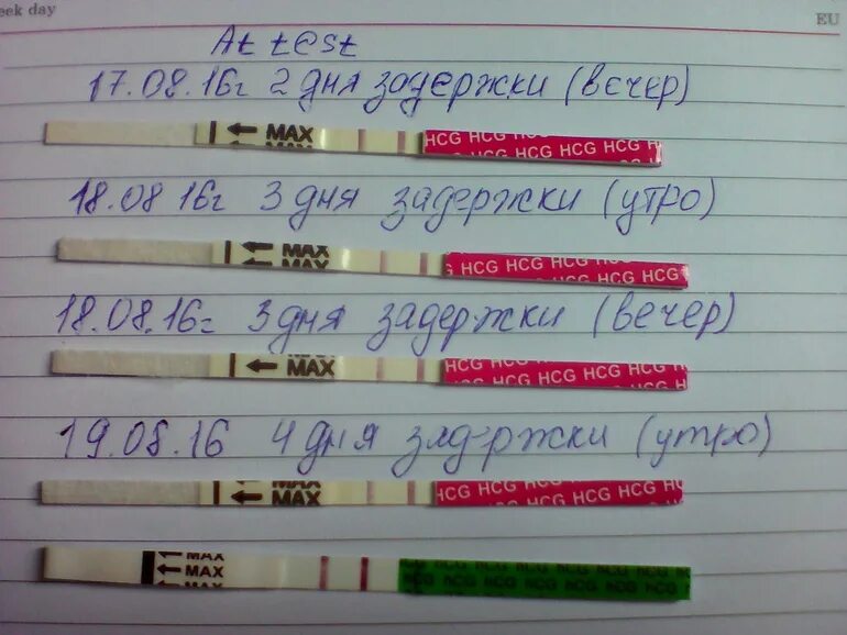 Почему идет задержка. Задержка месячных. тест отрицательный а месячных нет. тесты после задержки. задержка но тест отрицательный.