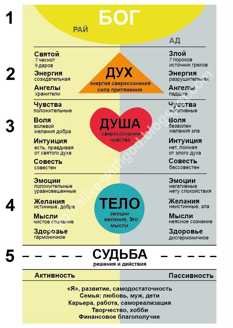 Триединство душа тело разум. Тело душа и дух в православии. Тело эмоции дух душа. Человек состоит из духа души и тела. Дух, душа и тело.
