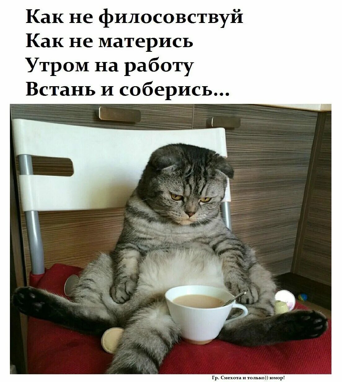 Хватит спать выходи на улицу