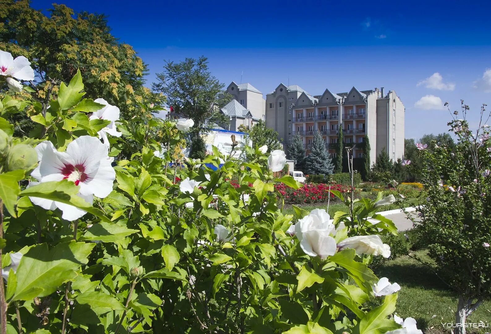 Нарзанная галерея кисловодск. Иноземцево цветы. Санаторий машук железноводск. Иноземцево цветы. Иноземцево цветы на гагарина.