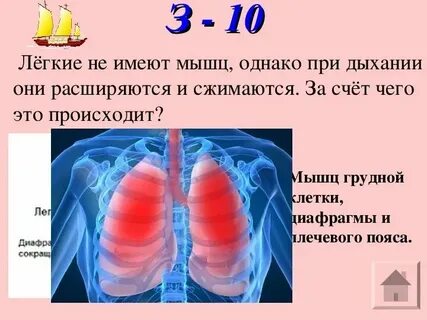 Сжимать почему и