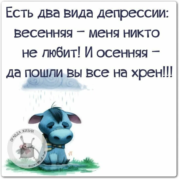 Депрессия прикольные. Открытка про депрессию. Шутки про депрессию в картинках. Прикольные высказывания про депрессию. Правда жизни.