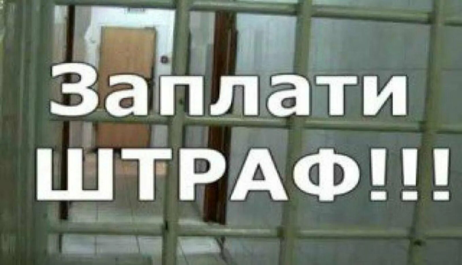Не оплатил штраф ответственность. Заплати штраф. картинка штраф оплатить. штраф штраф мем. плати штрафы вовремя.
