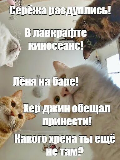 Раздуплиться. Я обязатлеьо выдиву мпм. Я обязательновызиву мем. Раздупляйся картинки. Ytkmpz ghjcnjk nfr dpznm b e,bm ijyf ,byf.