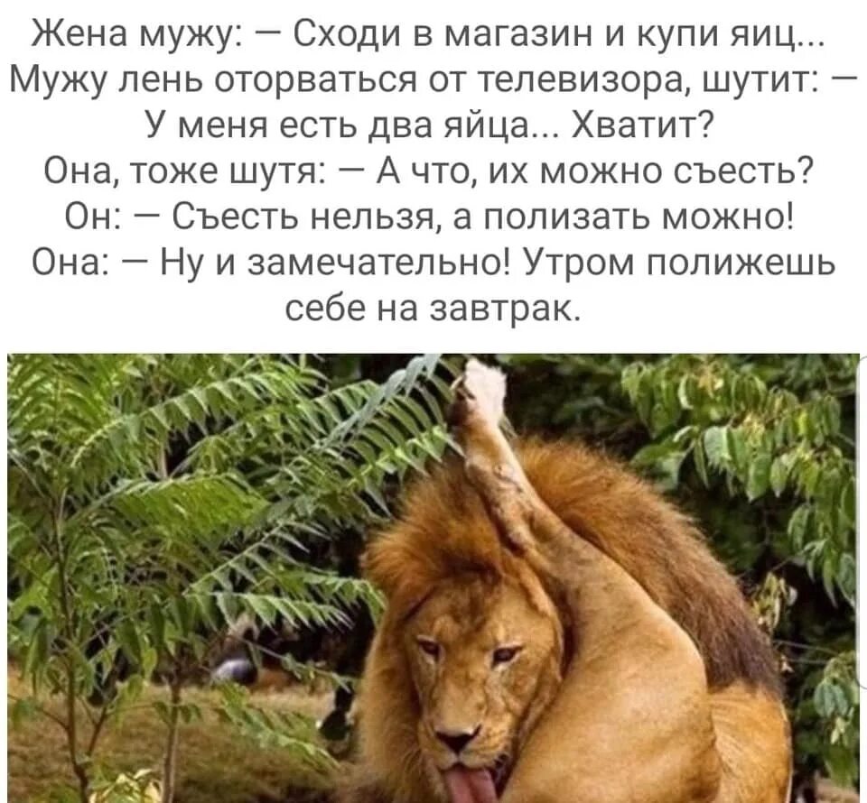 Шуток нет