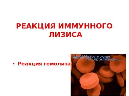 Лизис антигены