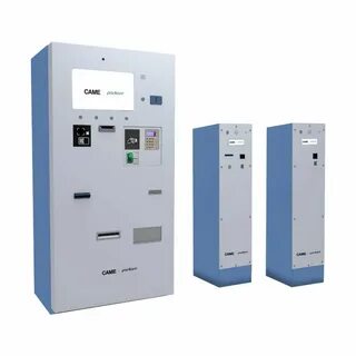 Came system